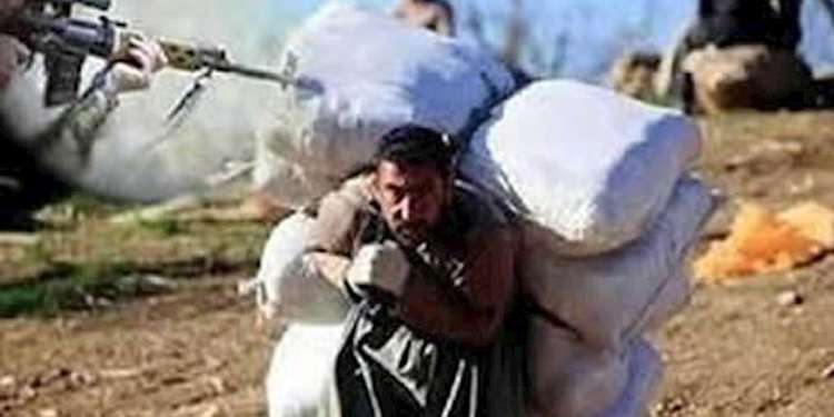 کشته و زخمی شدن سه کولبر در مرز اشنویه توسط ماموران سپاه پاسداران