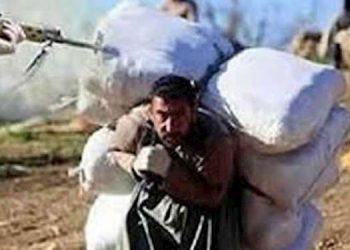 کشته و زخمی شدن سه کولبر در مرز اشنویه توسط ماموران سپاه پاسداران