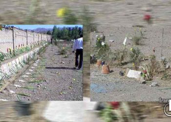 قتل عام زندانیان سیاسی، قتل عام اعضای سایر گروههای سیاسی، قتل عام ۶۷