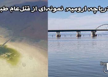 کانون-حقوق-بشر-ایران-قتل-دریاچه-ارومیه،-نمونه_ای-از-قتل_عام-طبیعت-