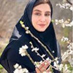 فائزه سیدی حمایت از وکلای در معرض خطر در ایران – ۶؛ در معرض خط قرار گرفتن ۱۷ وکیل