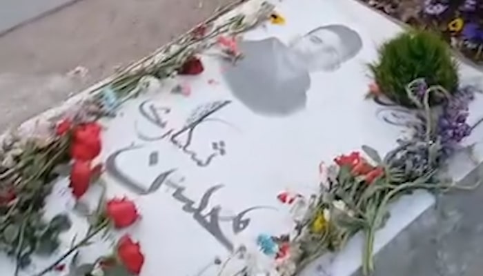 مادران داغدار و آرزوی سرنگونی حکومت؛ گلباران مزار محسن شکاری