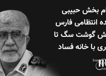 رهام بخش حبیبی، فرمانده انتظامی فارس، از فروش گوشت سگ تا همکاری با خانه فساد