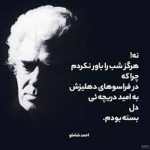 احمد شاملو؛ از سپیده‌دم شعر تا غروب استبداد