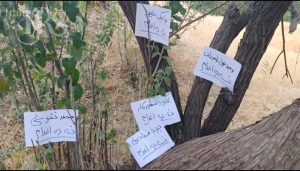 گسترش حمایت مردمی از کارزار «سه‌شنبه‌های نه به اعدام»؛ 