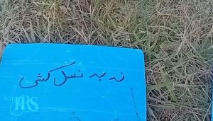 کارزار سراسری «سهشنبههای نه به اعدام»؛ صدای ماندگار ایستادگی در برابر قتل حکومتی