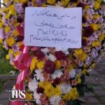 صد هفته ایستادگی در برابر حکومت اعدامی؛ «سه‌شنبه‌های نه به اعدام» به فریادی سراسری در ایران تبدیل شد